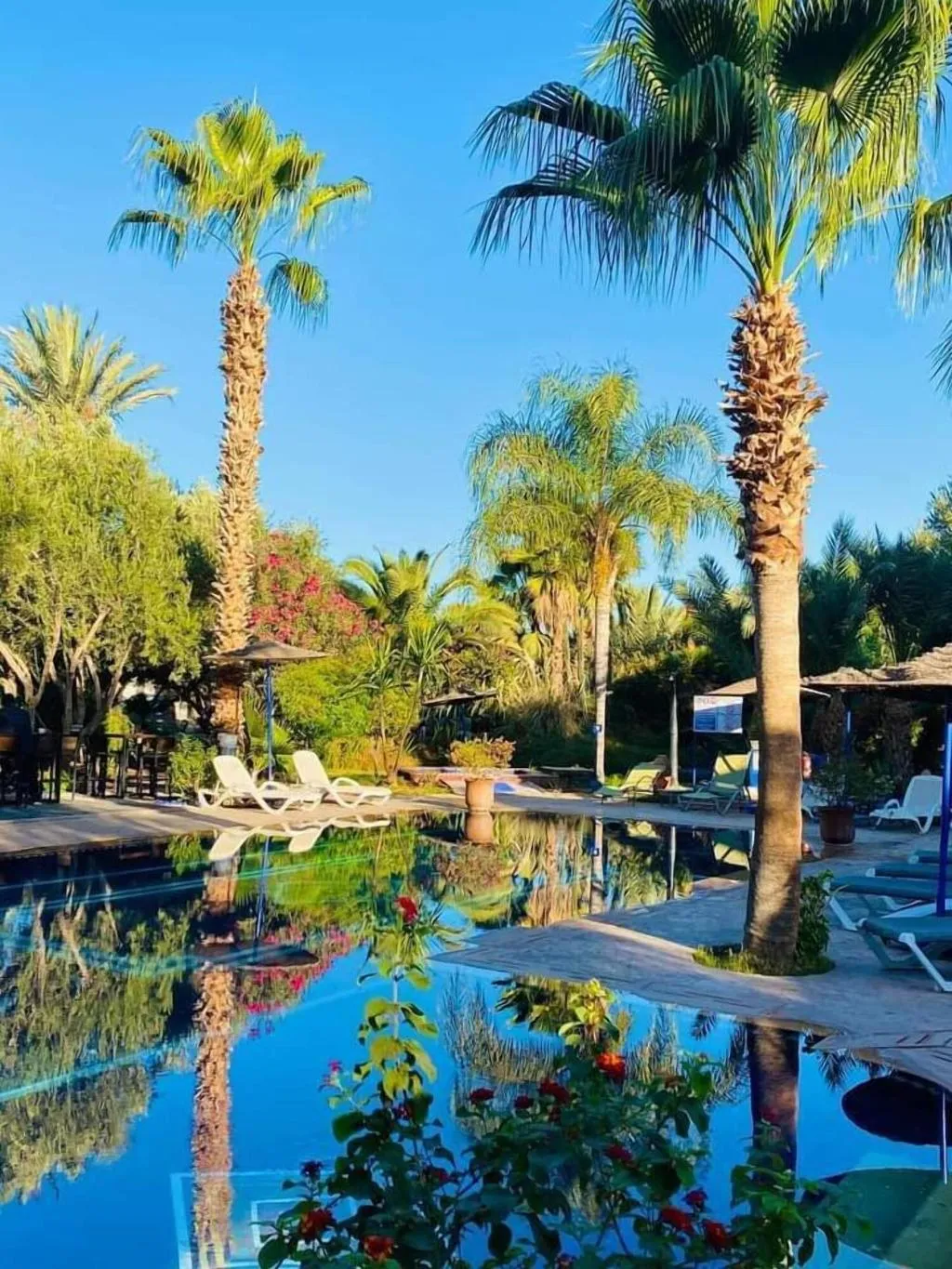 General view, Le Relais De Marrakech, Marrakech