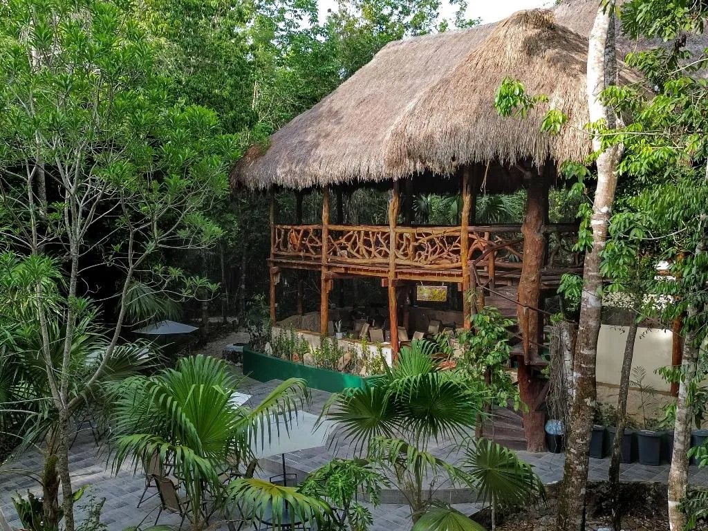 General view, Jolie Jungle, Cancun Area