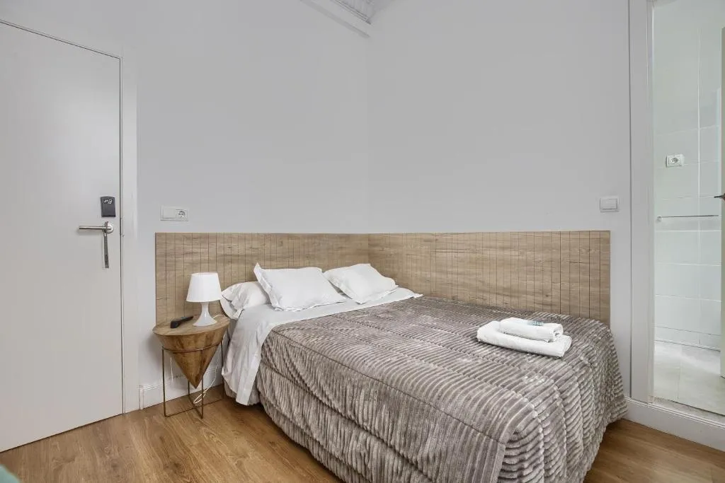 SINGLE WITH DOUBLE BED Room, Hostal Besaya, Madrid