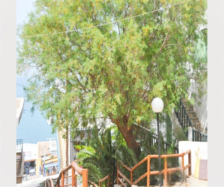 Elounda Colour Apartments, Crete