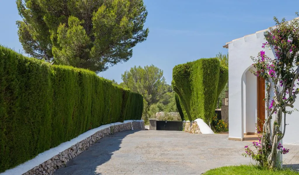 General view, VIllas Finesse, Menorca