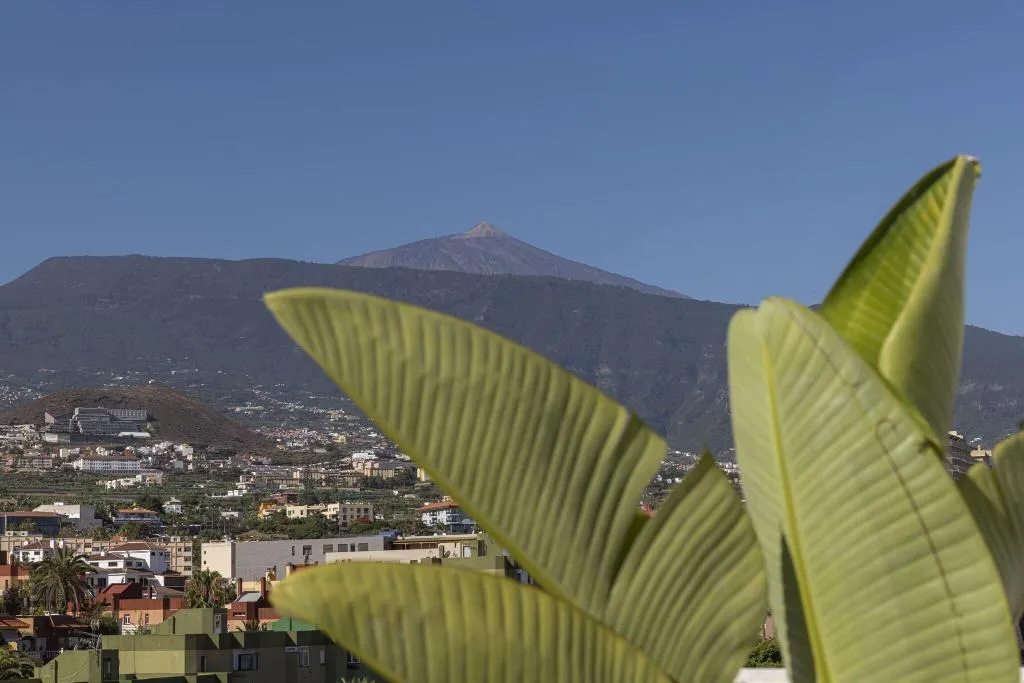 Pool, Marte, Tenerife
