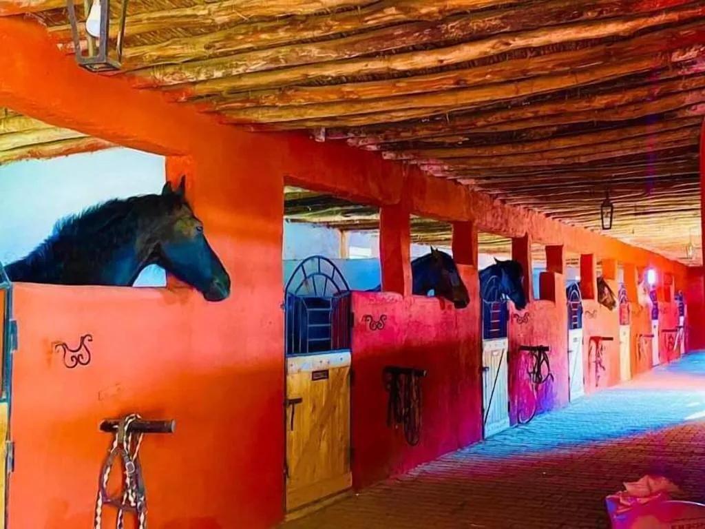 Sports and Entertainment, Le Relais De Marrakech, Marrakech
