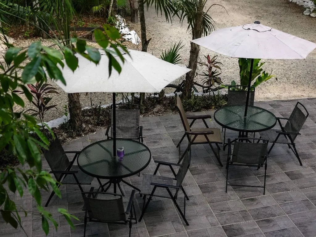 Terrace, Jolie Jungle, Cancun Area