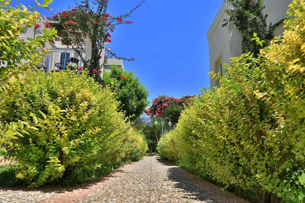 Terrace, Mandarin Resort Bodrum, Bodrum