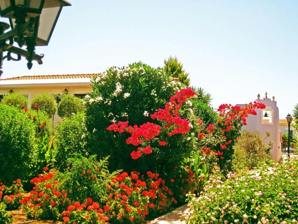 General view, Akamanthea Holiday Village, Cyprus
