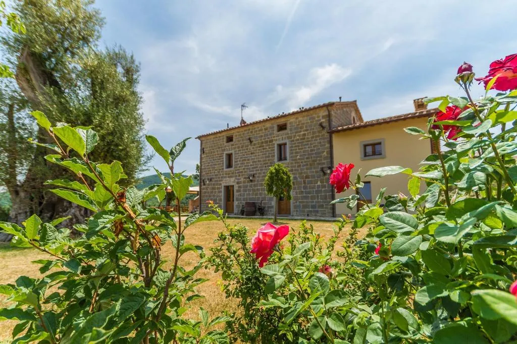 General view, Tenuta Borgo Santa Cecilia, Umbria