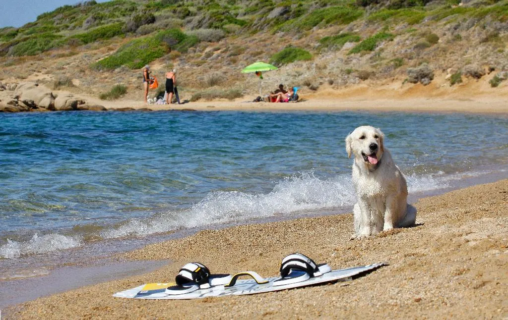 Beach, Club Esse Residence Capo d'Orso, Olbia