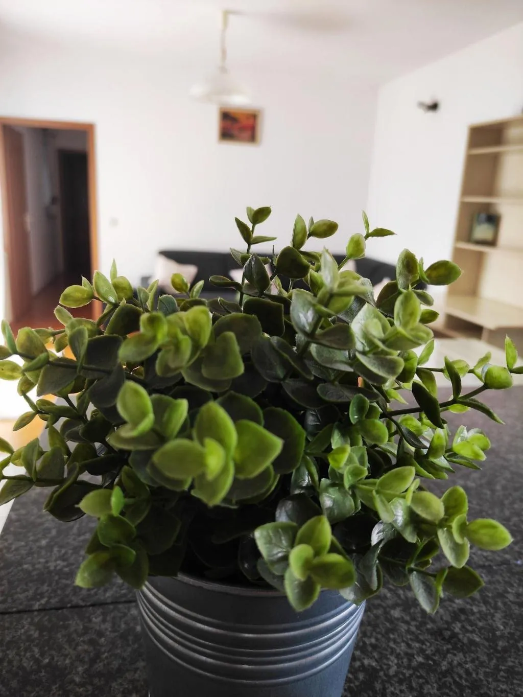 Room, Guesthouse Varnica, Split