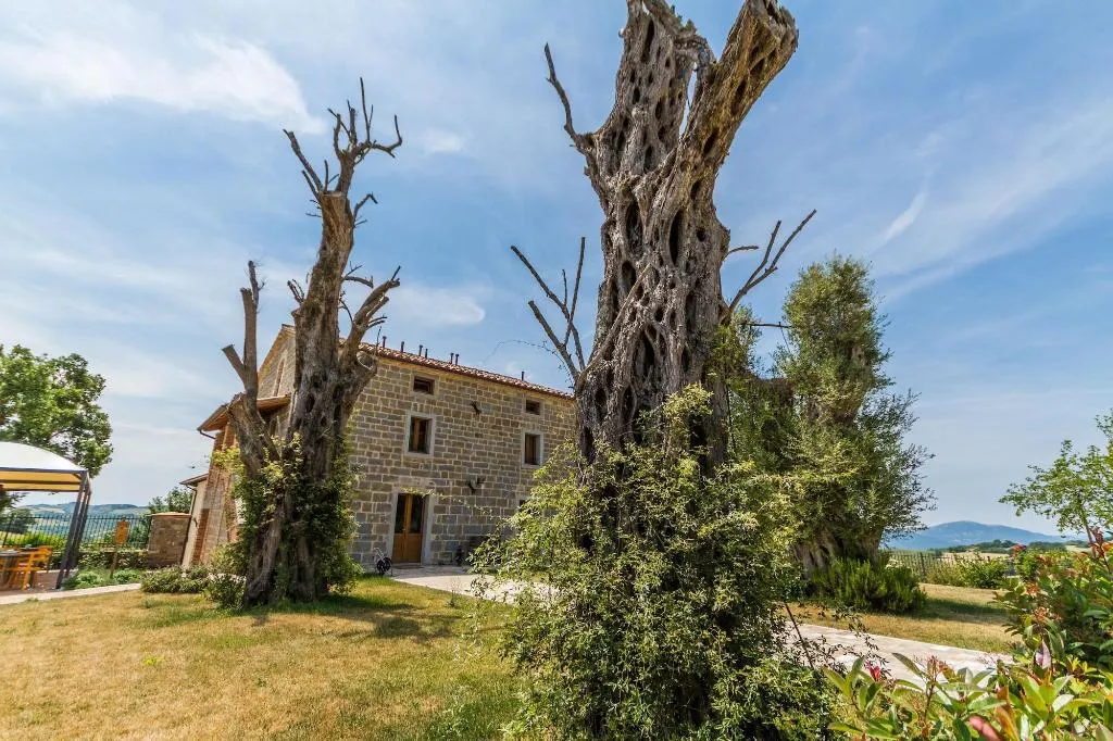 General view, Tenuta Borgo Santa Cecilia, Umbria