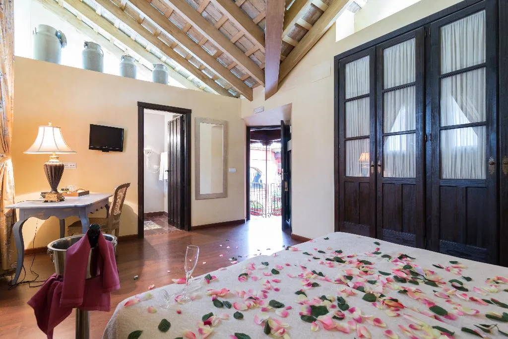 JUNIOR SUITE STANDARD Room, La Casona de Calderon, Seville