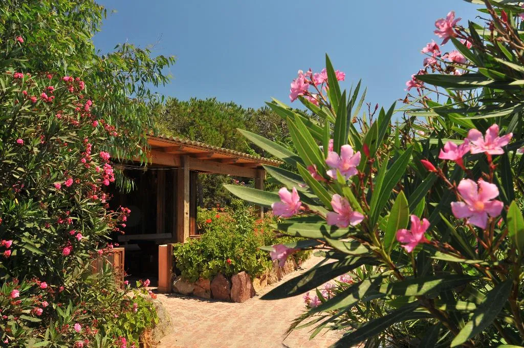 CHALET CAPACITY 4 Room, Torre Del Porticciolo Camping - Village - Gampling, Alghero