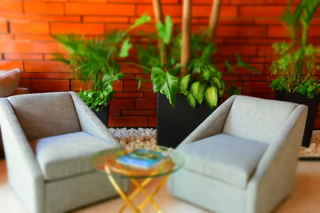 Lobby, The Shore At 46th, Playa Del Carmen