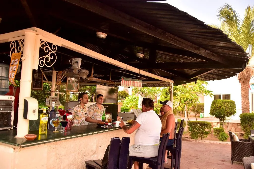 Bar, Dive Inn Resort, Red Sea Riviera