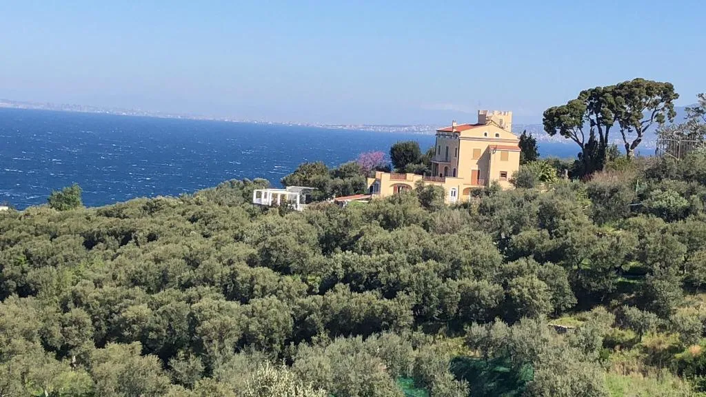 General view, Dania, Naples