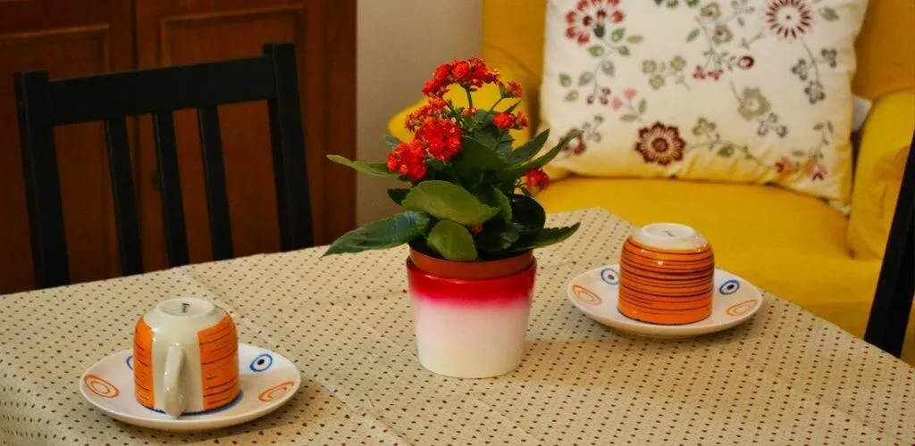 Restaurant, Un Sogno Di Casa, Rome