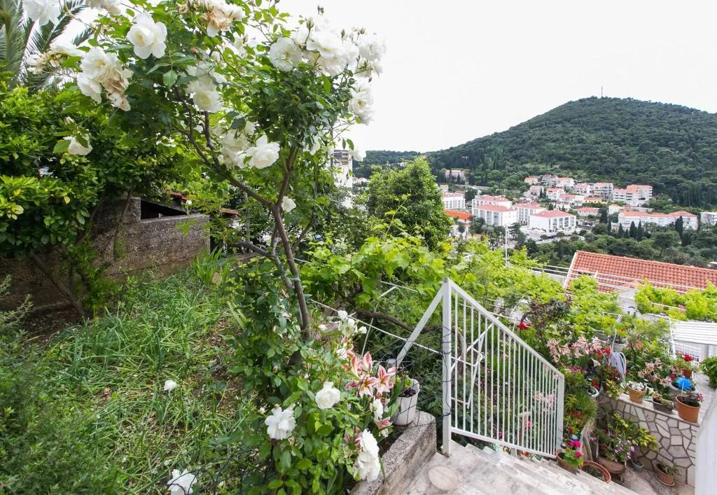 Terrace, Apartments Zore Glavinic, Dubrovnik