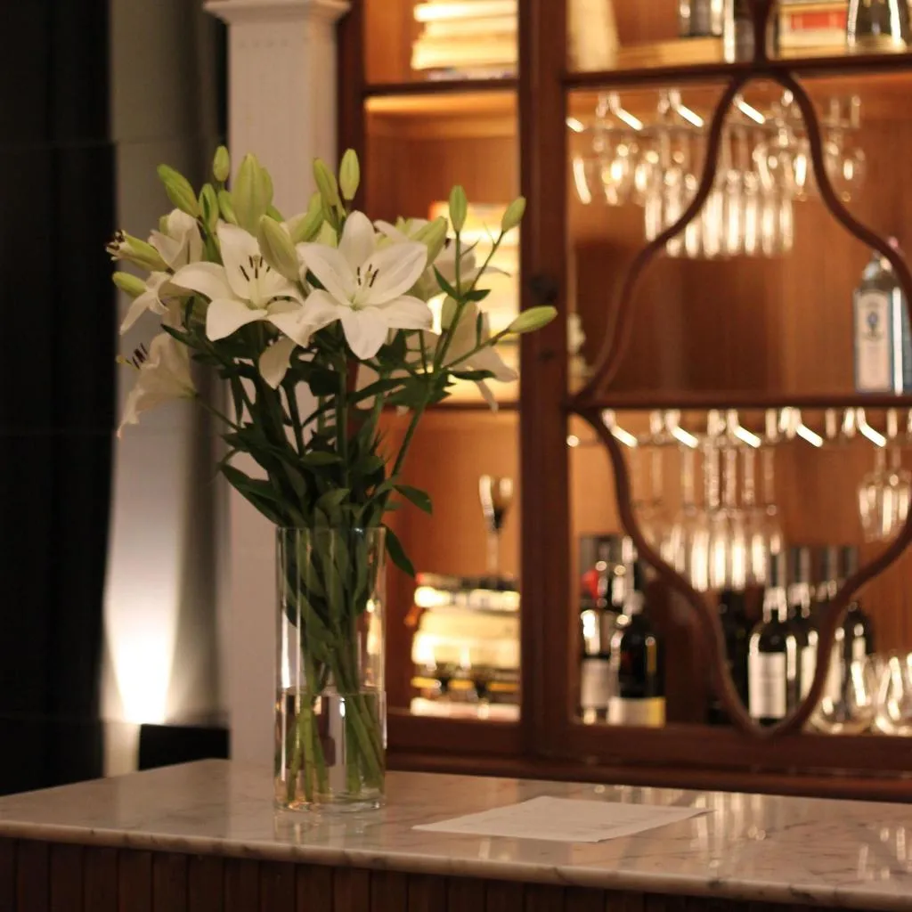 Bar, B The Guest Downtown, Porto