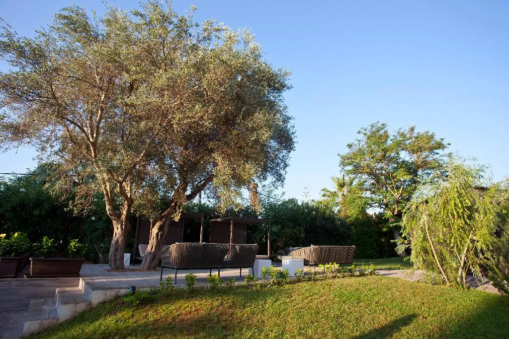General view, Hotel Eu Bahia Pollensa, Majorca