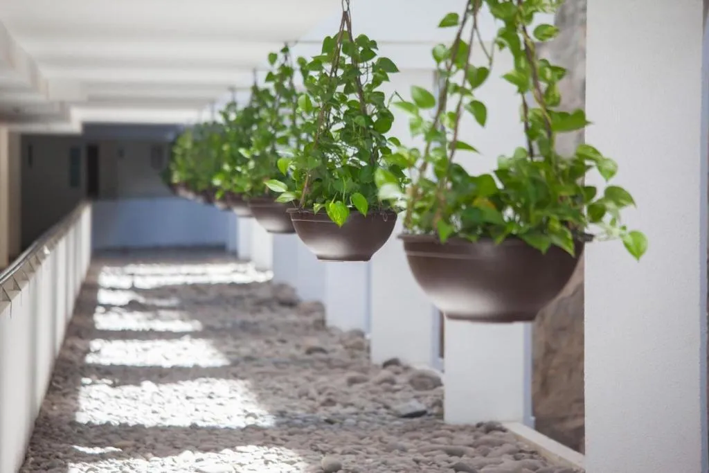 Lobby, Revoli, Gran Canaria