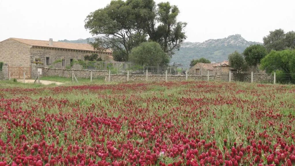 General view, Agriturismo Lu Branu, Olbia