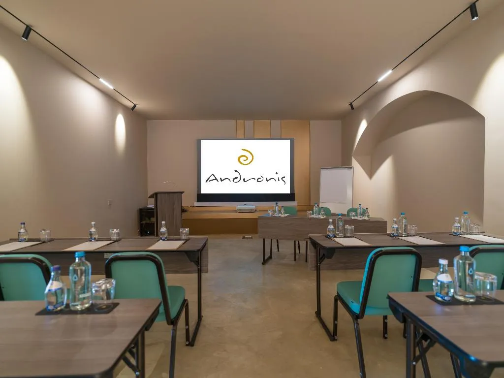Conferences, Andronis Arcadia, Santorini
