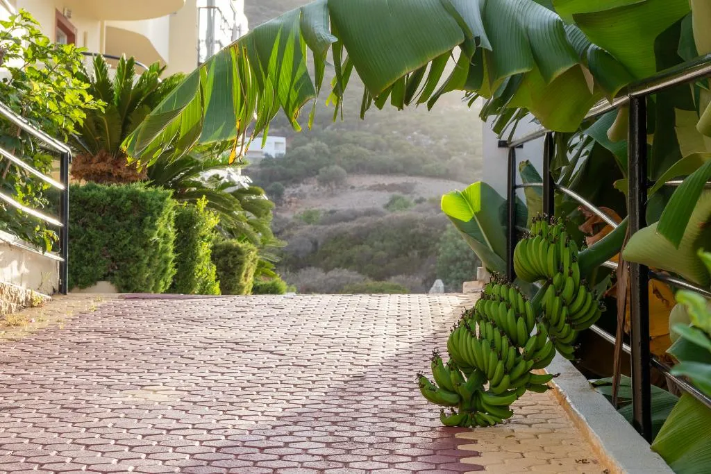 General view, Elpis Studios & Apartments, Crete