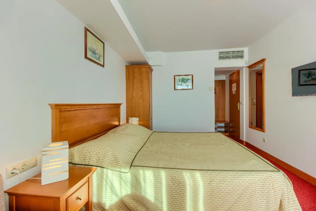 DOUBLE SINGLE USE EXECUTIVE Room, Villa Dvor, Split