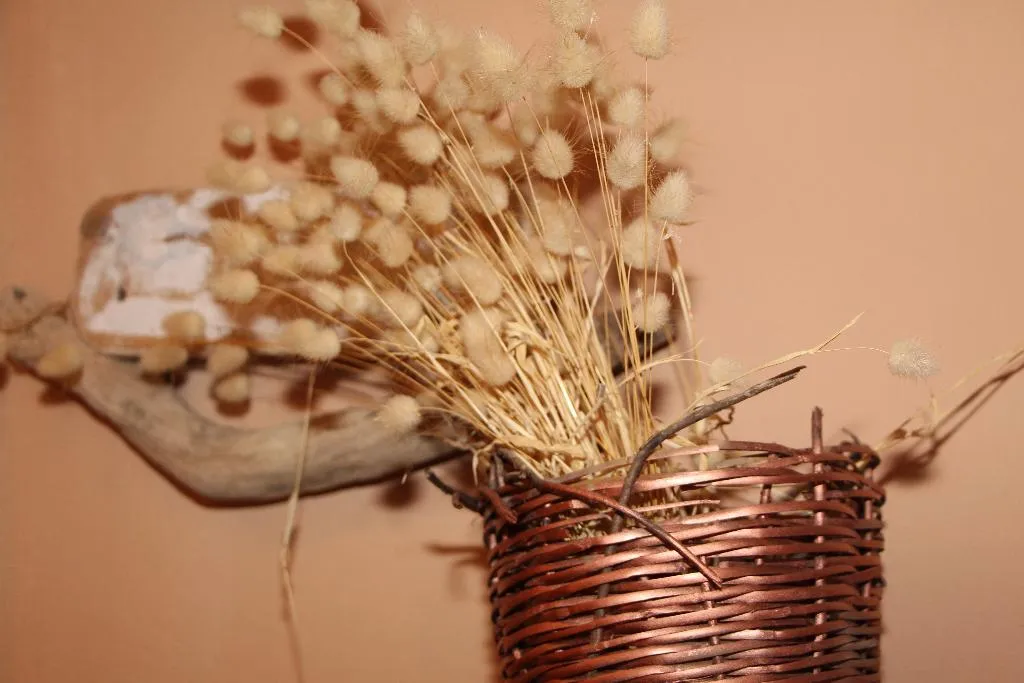 Lobby, Apokoros Craft Deco&Activities Boutique Hotel, Crete