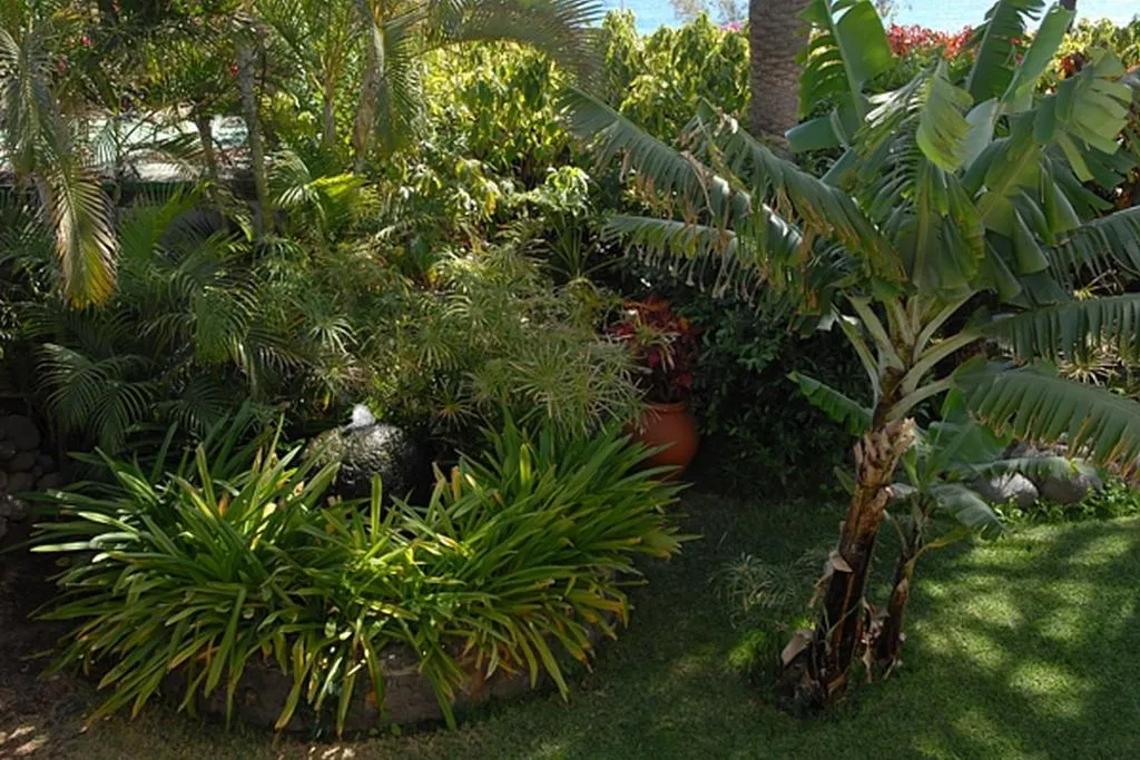 General view, Nogalera, Gran Canaria