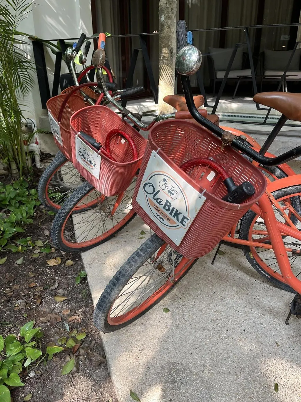 Sports and Entertainment, K'uyen Boutique Hotel, Cancun Area