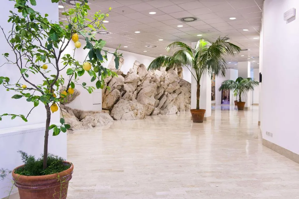 Conferences, Hilton Sorrento Palace, Naples