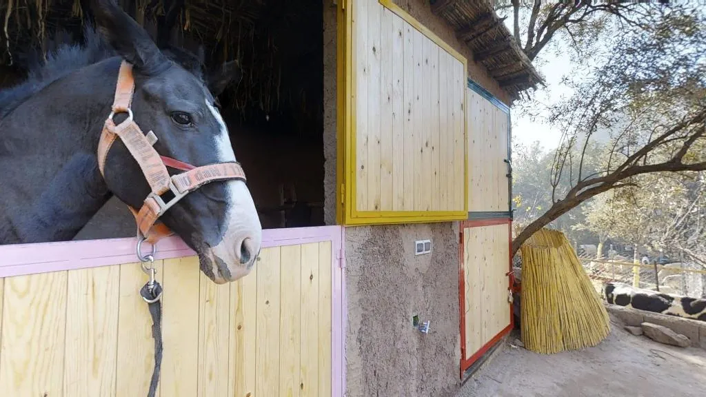 Sports and Entertainment, Ferme By Ikalimo, Marrakech