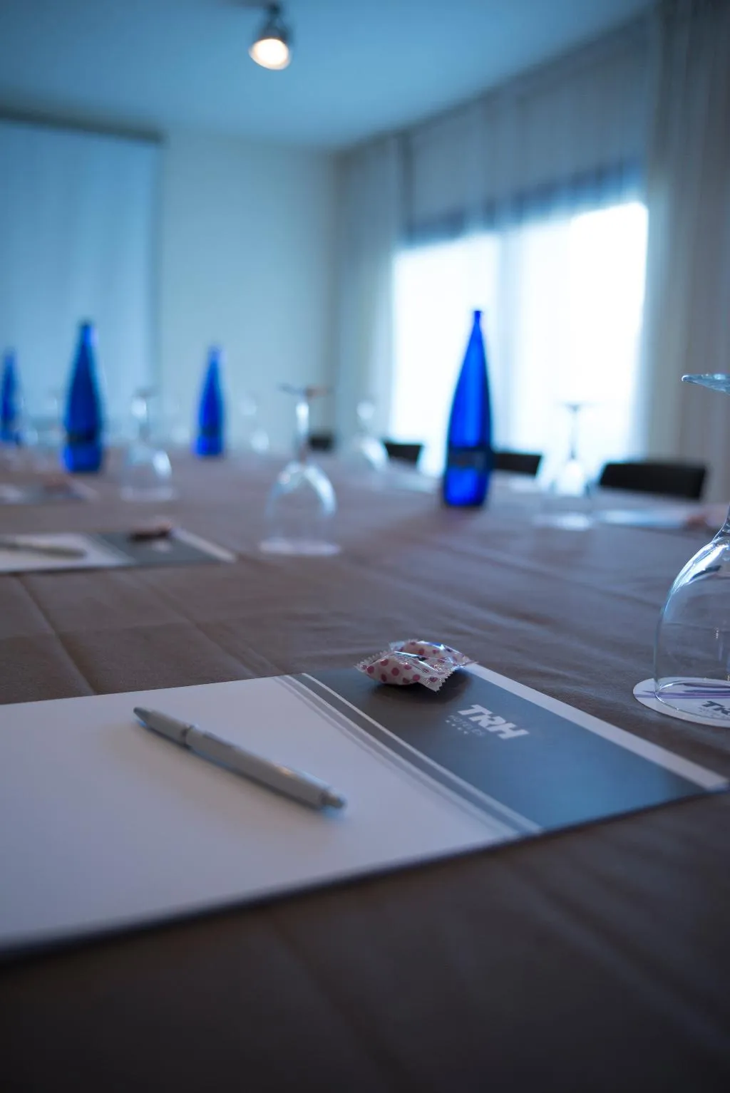 Conferences, TRH Paraiso, Costa Del Sol