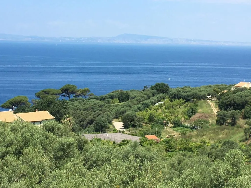 General view, Dania, Naples