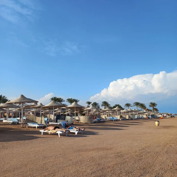 Royal Regency Club*****, Red Sea Riviera