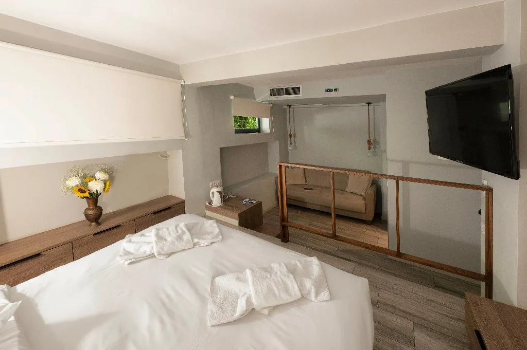 DOUBLE ECONOMY Room, Urban Core Residence, Athens