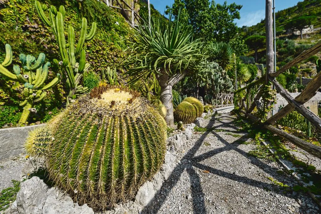 General view, Botanico San Lazzaro, Naples