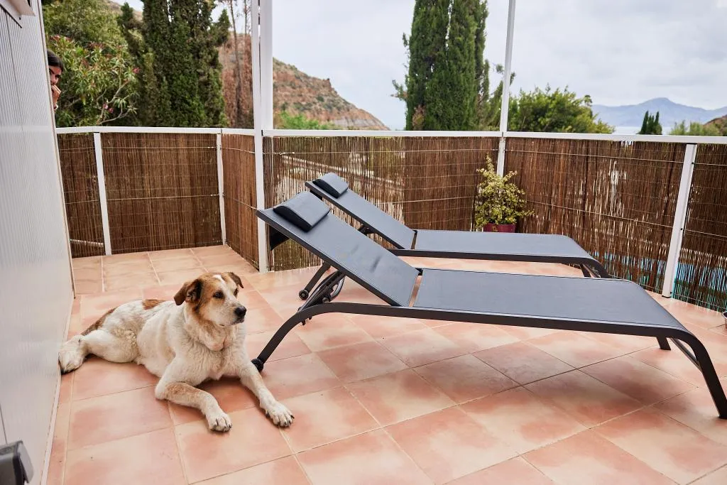 BUNGALOW OCEAN VIEW ONE BEDROOM Room, Camping El Portus, Costa Blanca