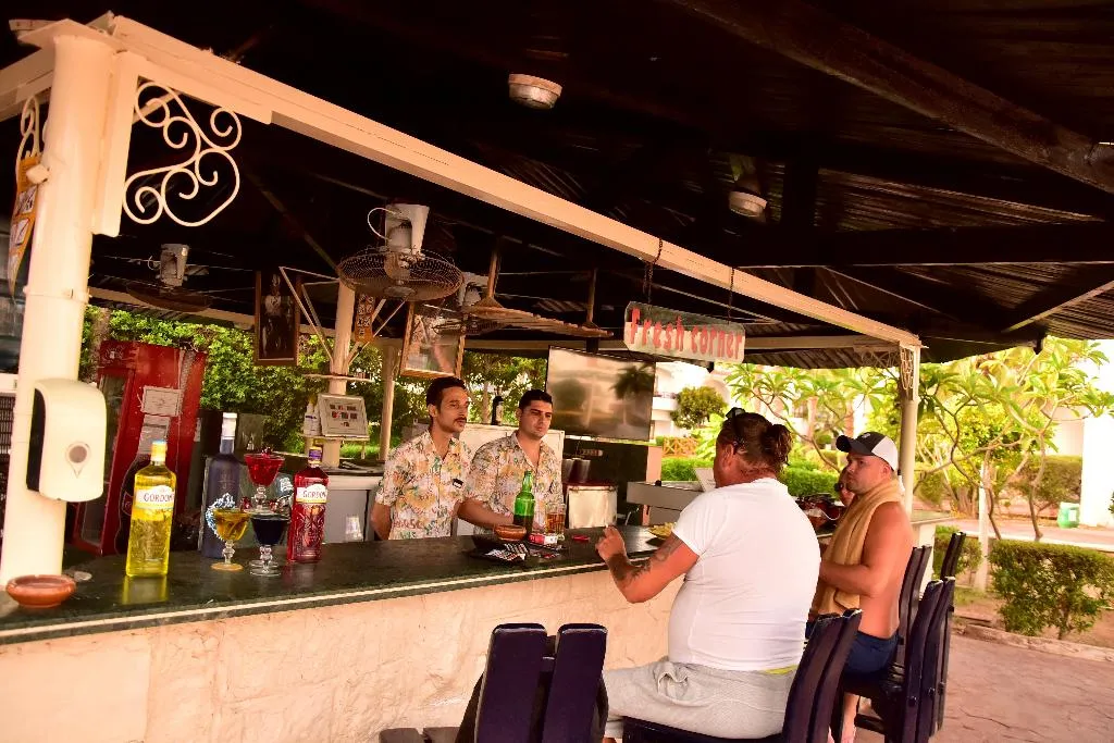 Bar, Dive Inn Resort, Red Sea Riviera