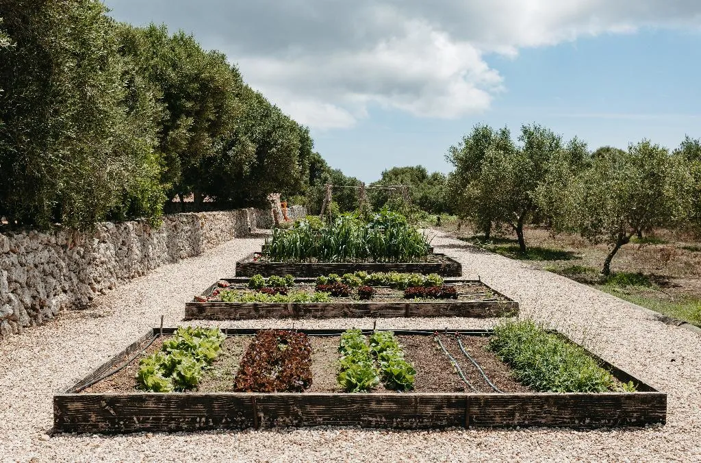 General view, Agroturismo Malbuger Nou Menorca Adults Only, Menorca