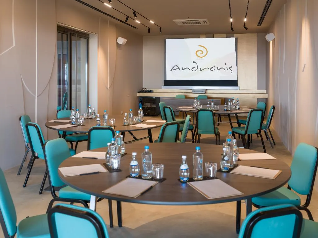 Conferences, Andronis Arcadia, Santorini