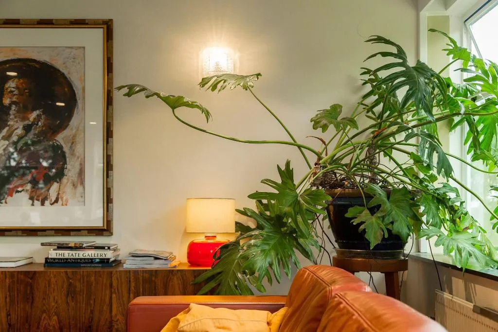 Lobby, Pension Homeland, Amsterdam