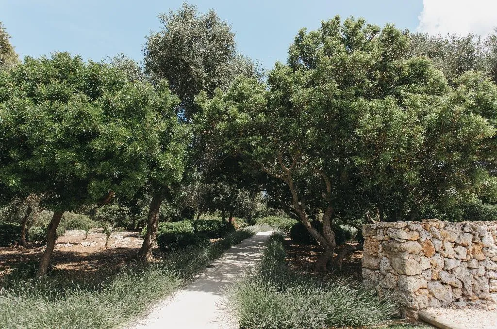 General view, Agroturismo Malbuger Nou Menorca Adults Only, Menorca
