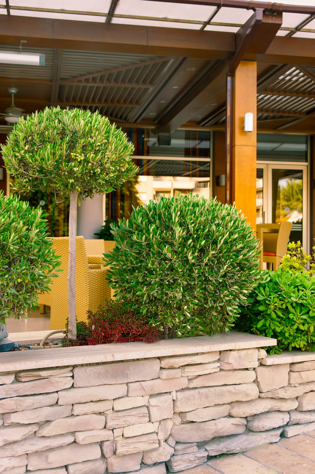 Terrace, Ajax Hotel, Cyprus