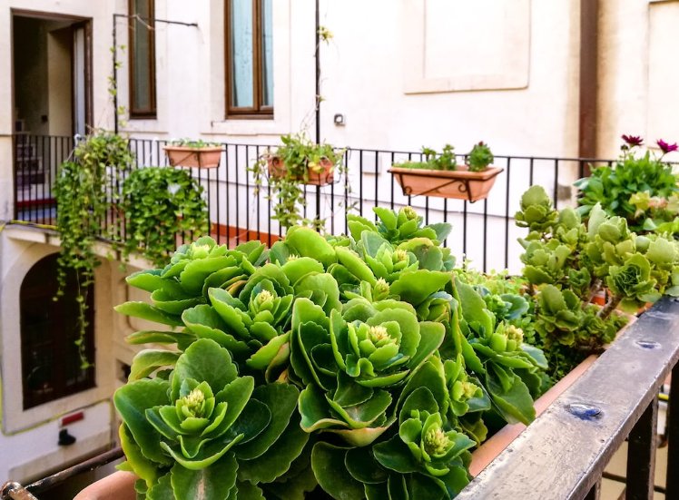 Piccolo Hotel Casa Mia, Catania
