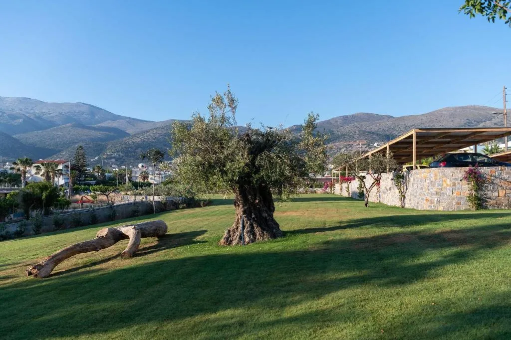 General view, High Beach White, Crete