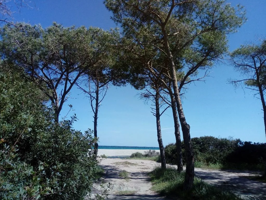 Beach, Hotel Velasole, Olbia