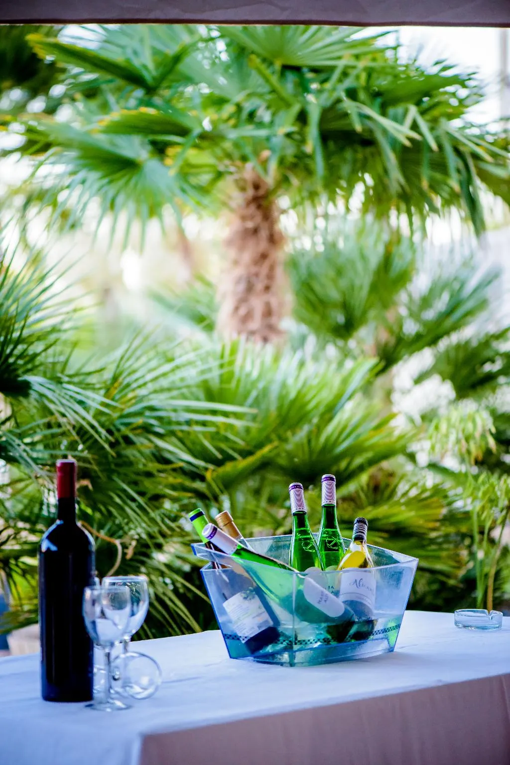 Pool, Hotel Bonalba Alicante, Costa Blanca