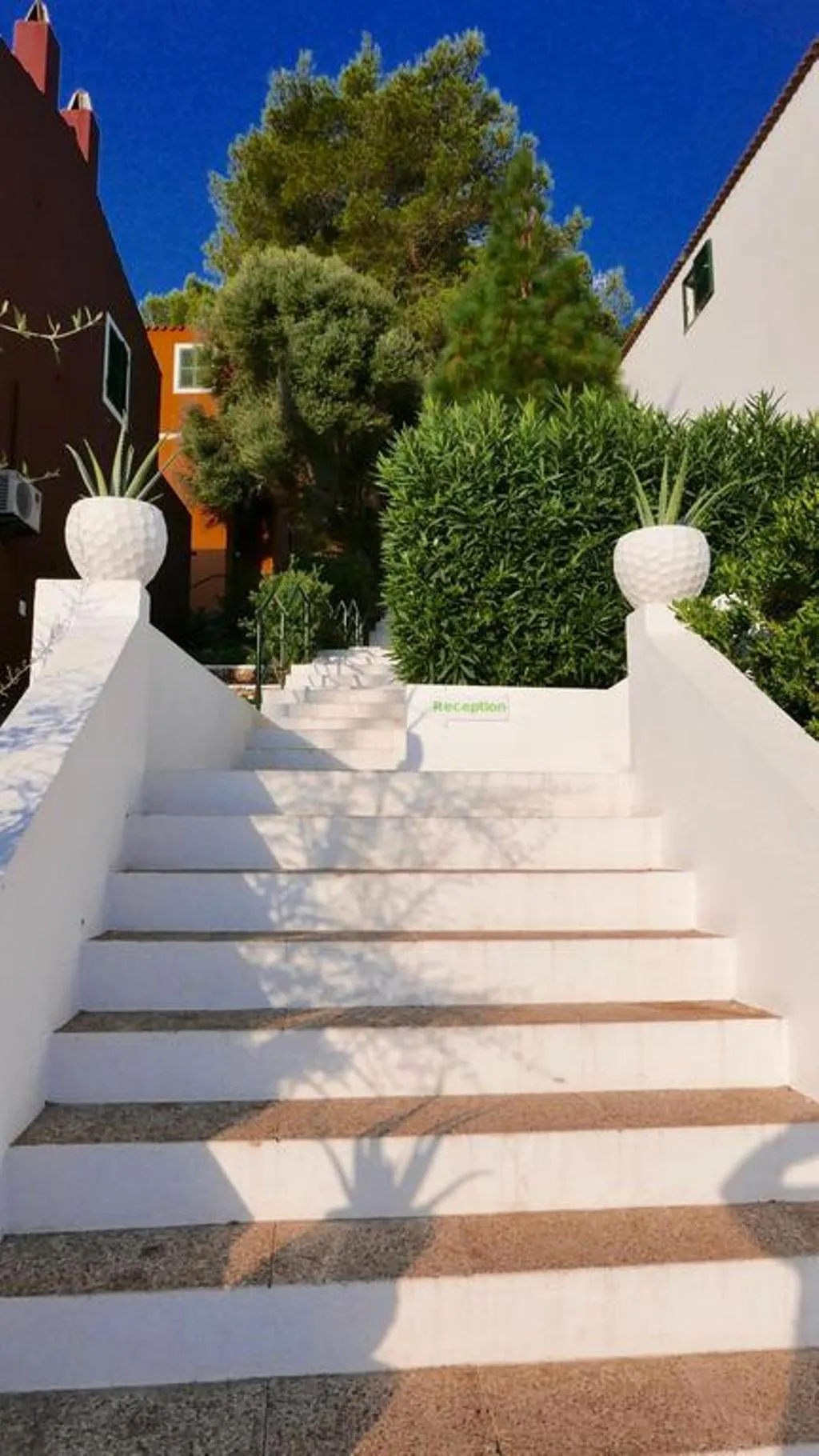 Lobby, Desmais, Menorca